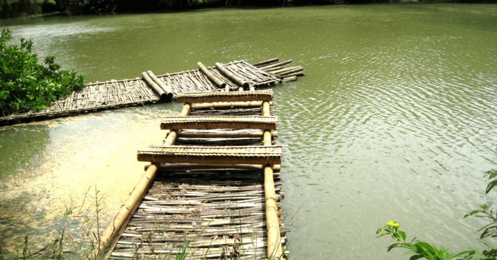 wayanad tour packages from calicut
