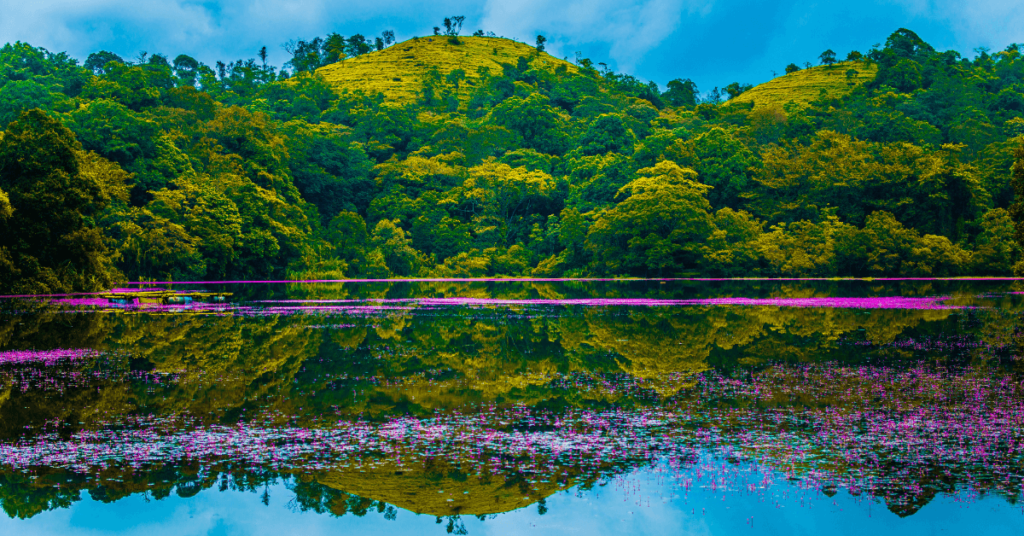 wayanad tour packages
