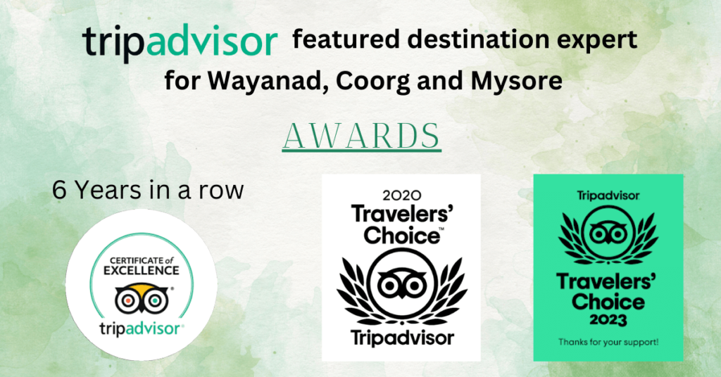 bangalore mysore coorg tour package