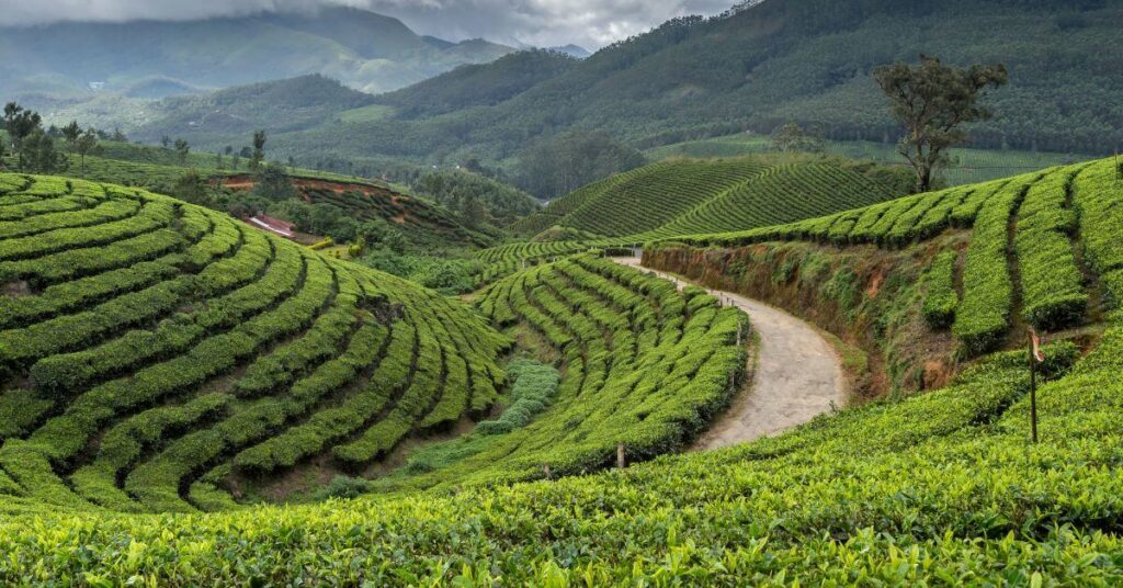 ooty kodaikanal munnar