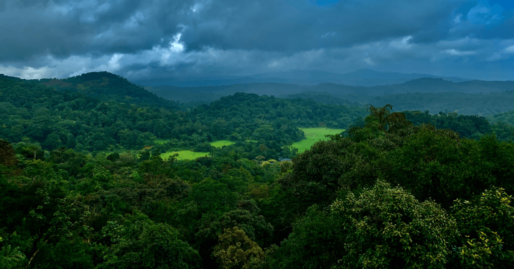 coorg tour packages for 3 days