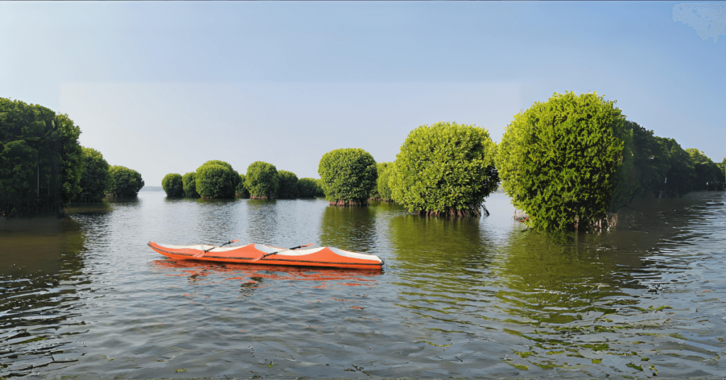 kayaking in kavvayi