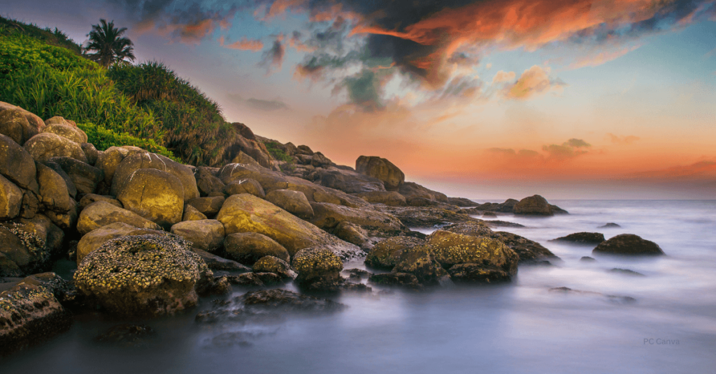 kovalam tour package