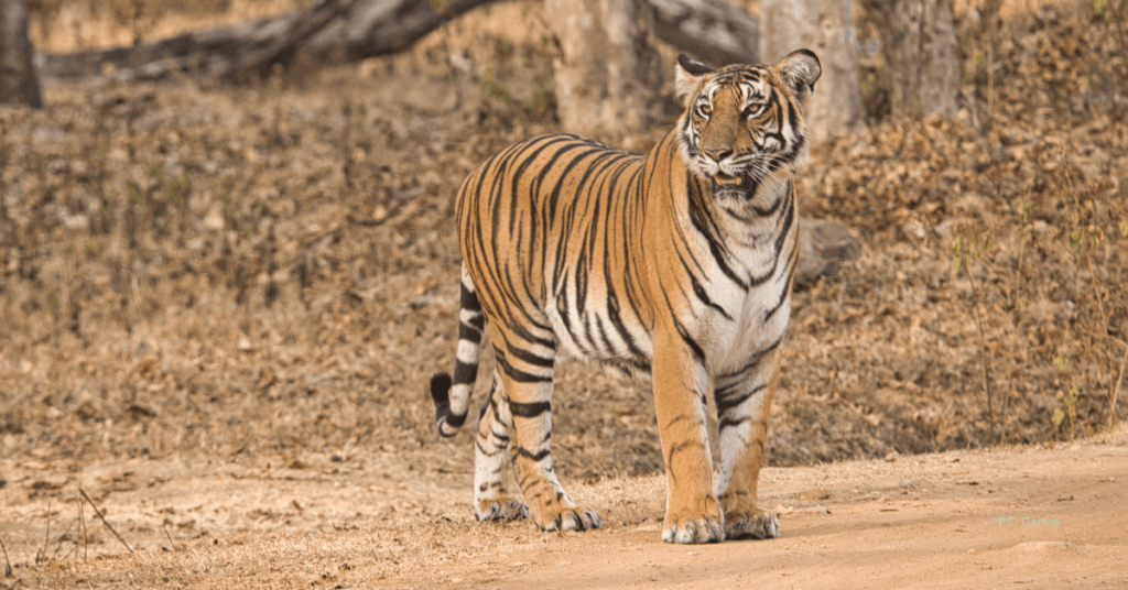 weekend getaways from bangalore for couple